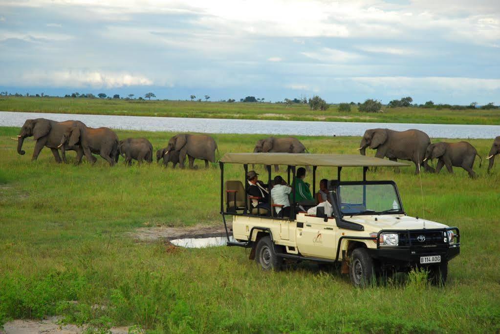 Sanctuary Chobe Chilwero Otel Kasane Dış mekan fotoğraf